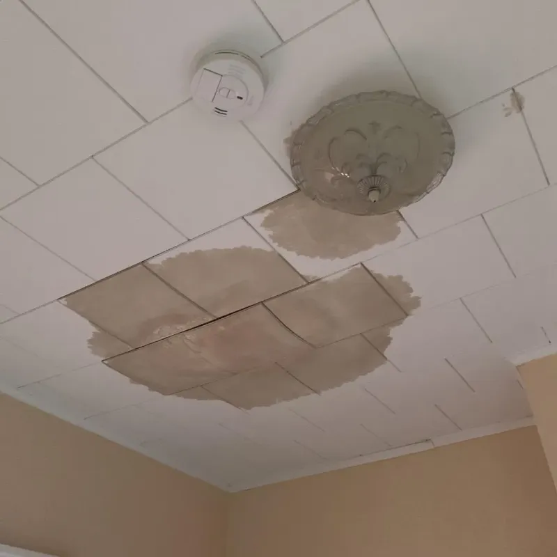 Ceiling Water Damage Repair in Park Rapids, MN