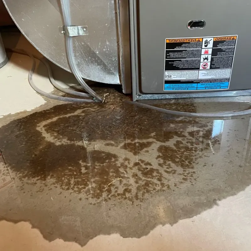 Pipe Burst and Leak Restoration in Park Rapids, MN