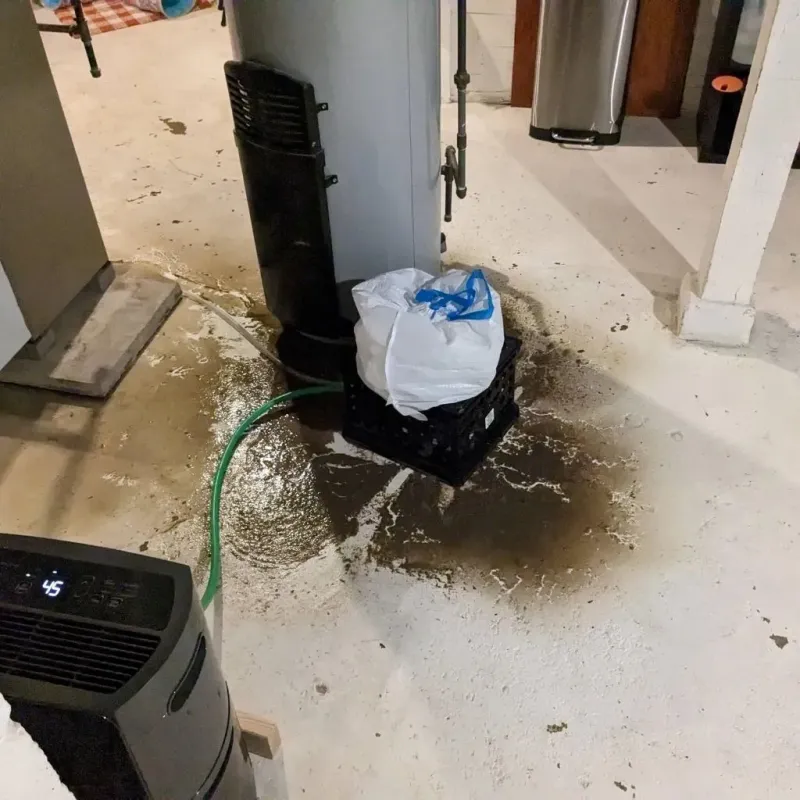 Sewage Backup Cleanup Service in Park Rapids, MN